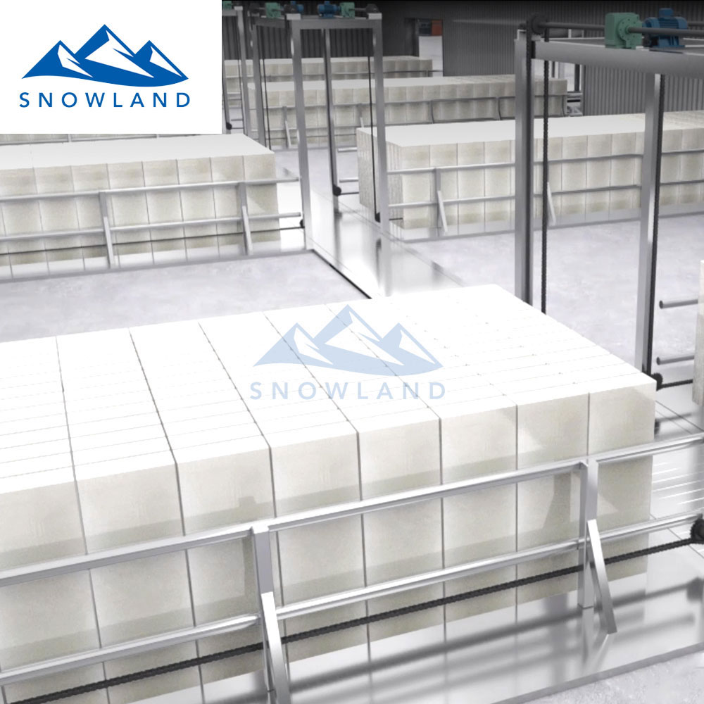  佛山新雪制冷大型制冰设备厂家 节能高效直冷式块冰机 厂家直销 行业品牌 售后无忧  