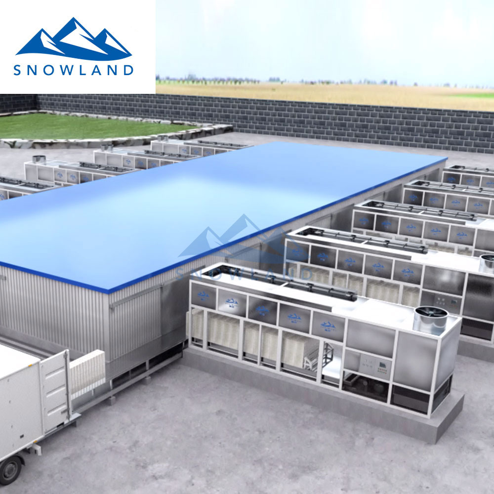  佛山新雪制冷大型制冰设备厂家 节能省电块冰机 厂家直销 行业品牌 售后无忧  