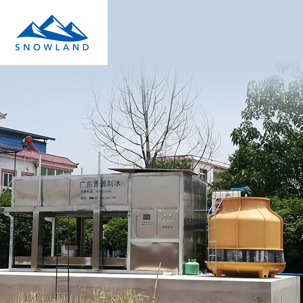佛山新雪制冷小型5吨50kg冰块直冷式块冰机降温制冰机农作物保鲜冰砖机专业制冰机广东制冰机厂家