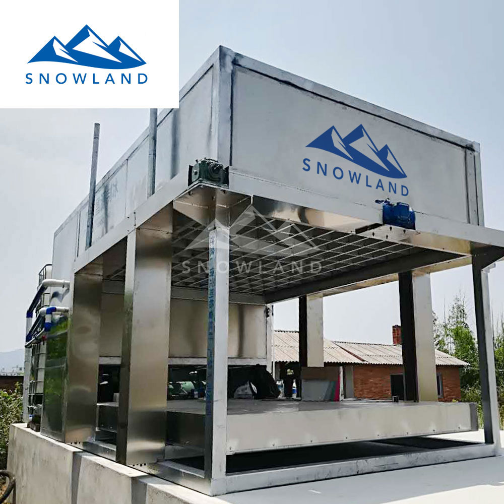 佛山新雪制冷小型5吨50kg冰块直冷式块冰机降温制冰机农作物保鲜冰砖机专业制冰机广东制冰机厂家