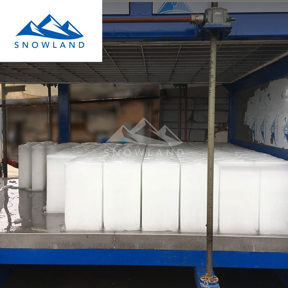 佛山新雪制冷小型5吨50kg冰块直冷式块冰机降温制冰机农作物保鲜冰砖机专业制冰机广东制冰机厂家