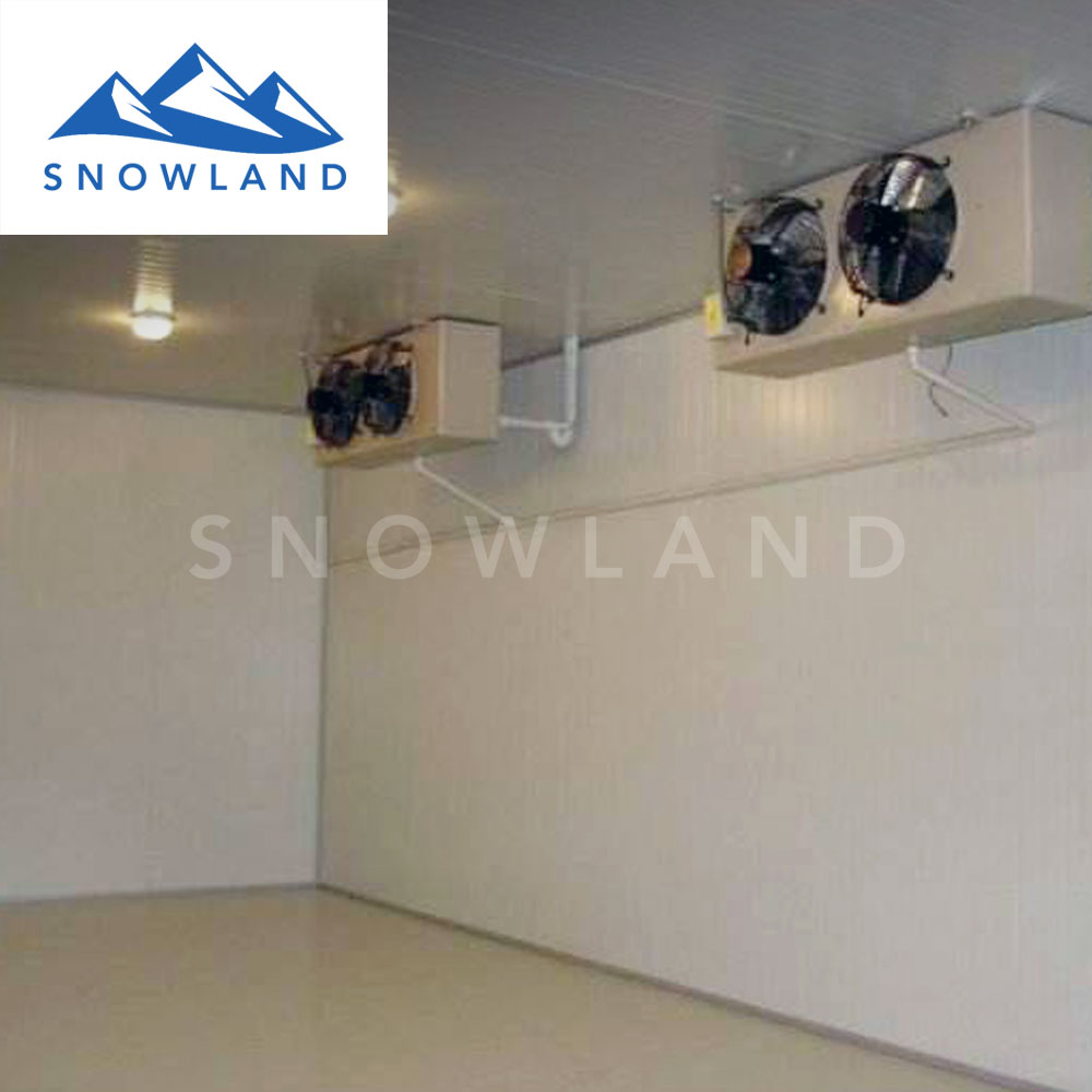 冷库安装蔬果冷库工程冰块储存库冷库定做冷库设计